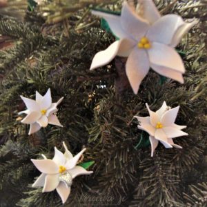 Bele božične zvezde na smreki