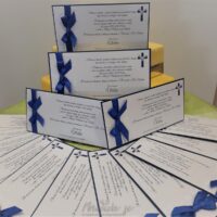 Vabila za Birmo WR-5 Vabila za Birmo WR-5